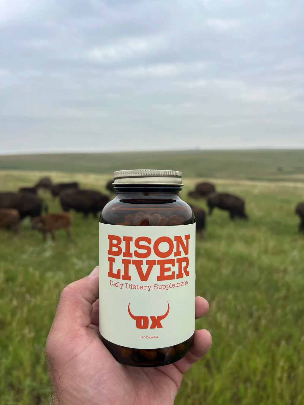 Bison Liver