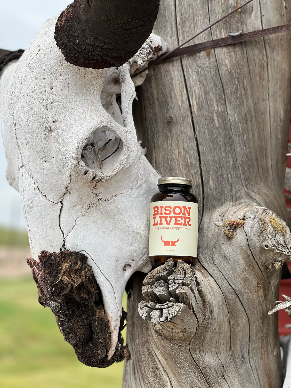 Bison Liver