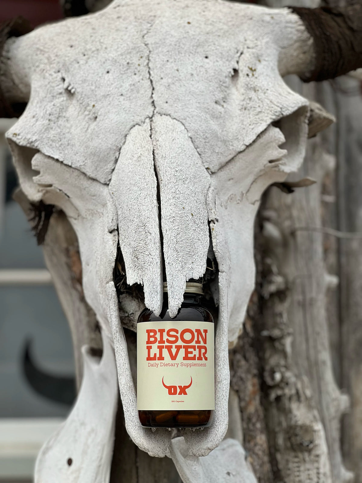 Bison Liver